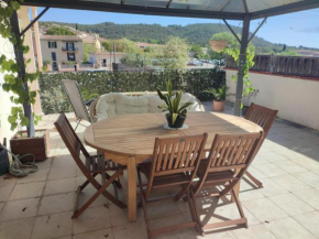 Appartement provençal avec terrasse dans le Var